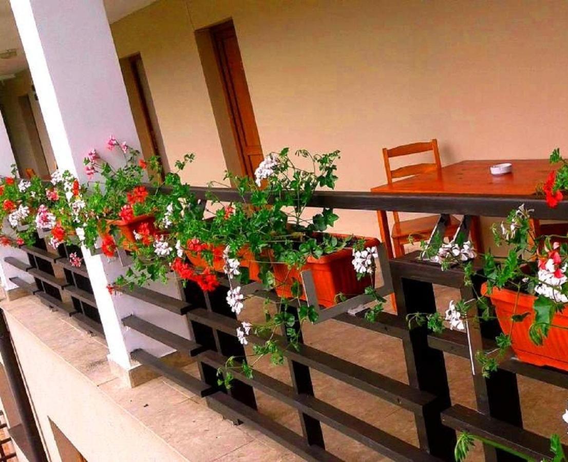 Pension Laura Cheile Turzii Petreştii de Jos Rom bilde